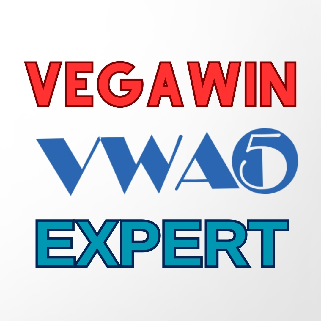 VEGAWİN A5 EXPERT (Stok, Cari, Fatura, İrsaliye, Kasa, Banka, Ers) resmi