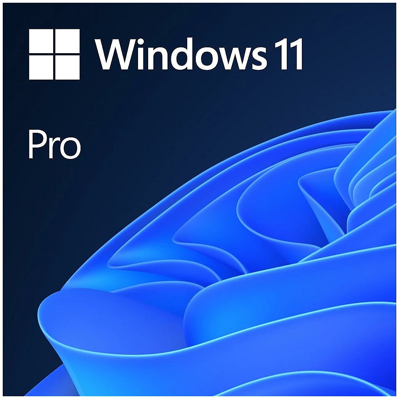 MICROSOFT Windows 11 Pro Trk OEM 64 bit FQC-10556 resmi